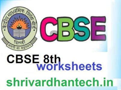 CBSE Rational Numbers 8th Worksheet Answer now Correctly