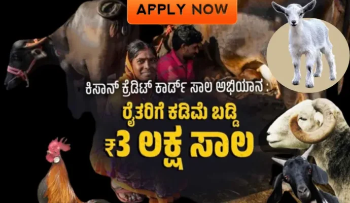 kcc loan kisan credit loan card animal husbandry