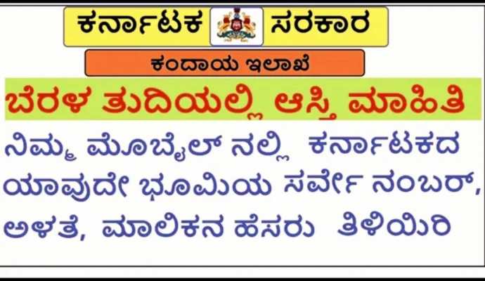 How to Check Property Details Online